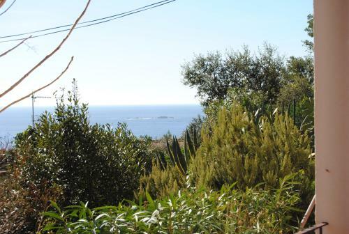 Apartamento Mistral - 322