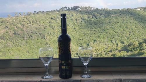 Hostal Panoramic View