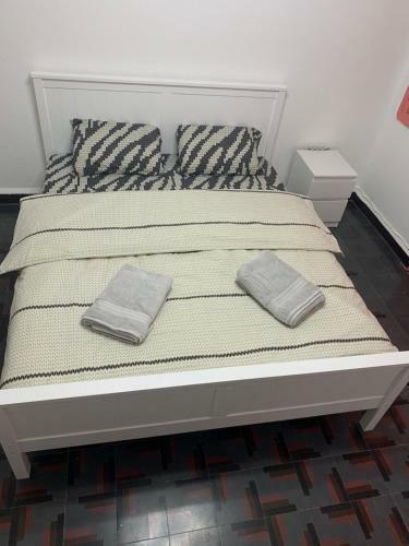 Entire Apartment Comfy