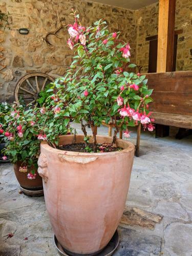 Olmares Terrace Apartment - Picos De Europa