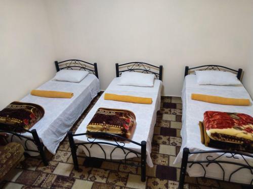 Majido Hostel