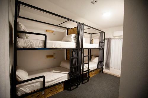 Albergue Nomads Hotel Petra