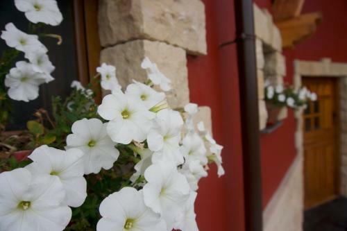 Albergue La Cala
