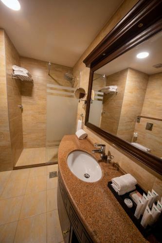 Petra Canyon Hotel