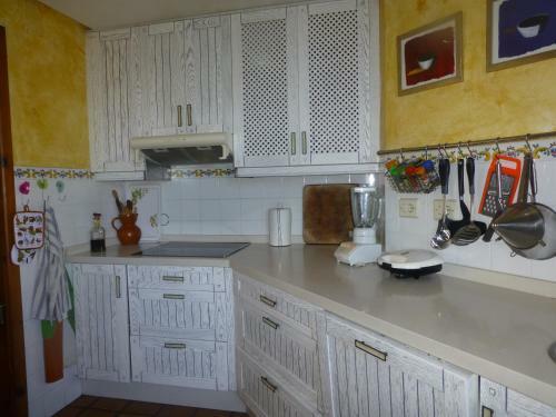 Semi-detached Chalet Snow White