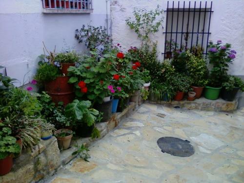 Apartamento Tur�stico Cervantes 18