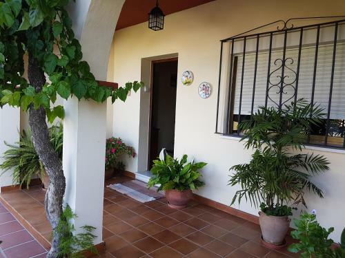 Casa Chalet Las Camelias