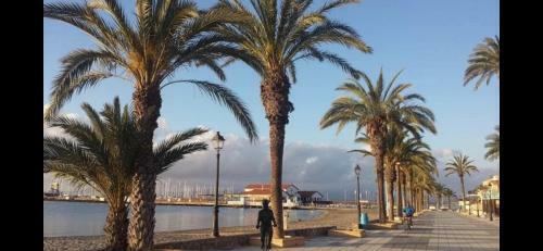 Apartamento Fuster