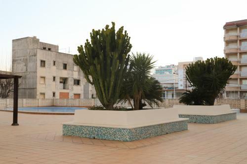 Apartamento Primer�sima Linea de Playa de Gandia Vt-45633-v
