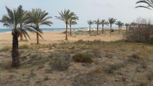 Apartamento Primer�sima Linea de Playa de Gandia Vt-45633-v