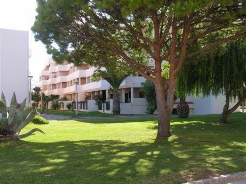 Apartamentos Iberlagos