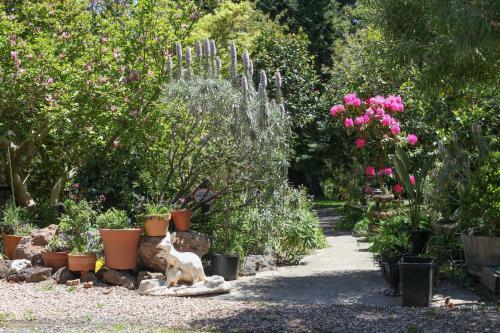 Bed & Breakfast Olinda Country Cottages