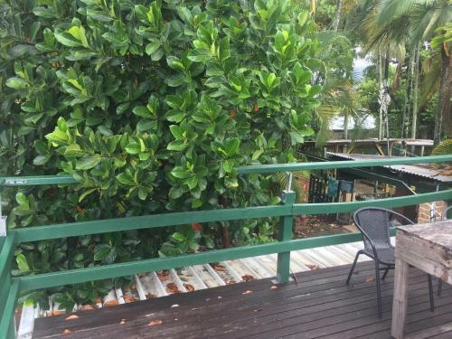 Cairns City Backpackers Hostel