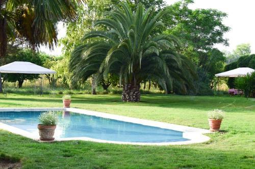 Finca El Consul