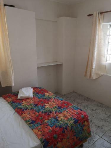 Ventnor House Apartments