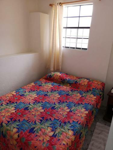 Ventnor House Apartments