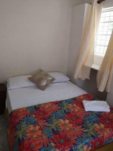 Ventnor House Apartments