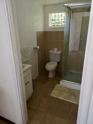 Ventnor House Apartments