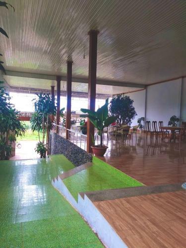 M?c Homestay