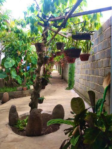 M?c Homestay