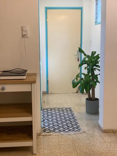 Apartamento ??????? ???