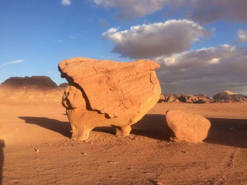 Wadi Rum Sky Tours & Camp