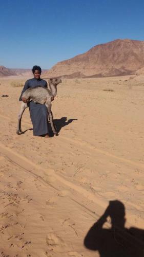 Wadi Rum Sky Tours & Camp