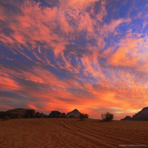 Wadi Rum Sky Tours & Camp