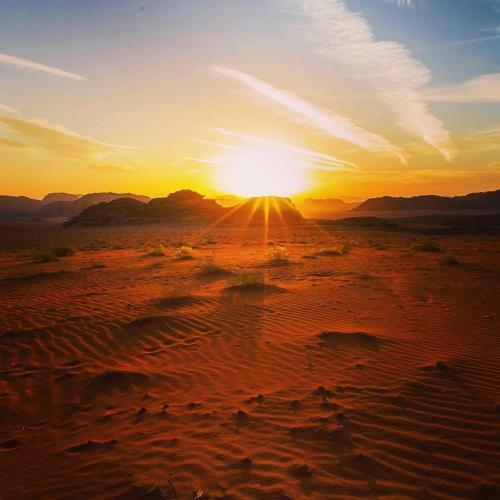 Wadi Rum Sky Tours & Camp