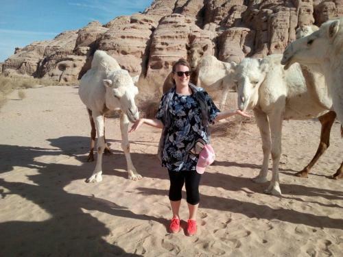 Wadi Rum Sky Tours & Camp