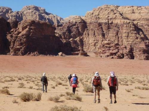 Wadi Rum Sky Tours & Camp