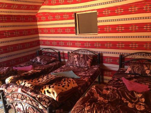 Wadi Rum Sky Tours & Camp