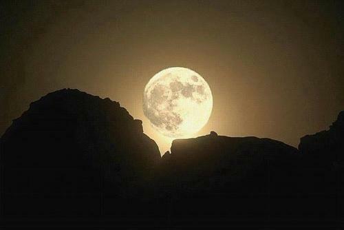 Wadi Rum Sky Tours & Camp
