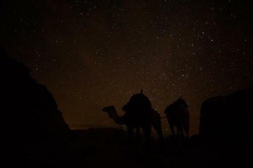 Wadi Rum Sky Tours & Camp