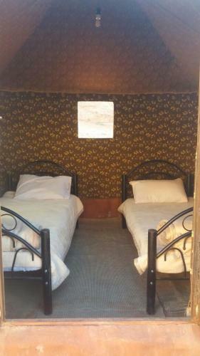 Wadi Rum Sky Tours & Camp