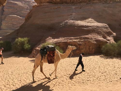 Desert Trips