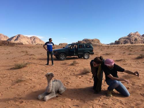 Desert Trips
