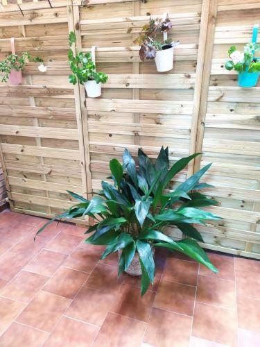 Apartamento Poniente