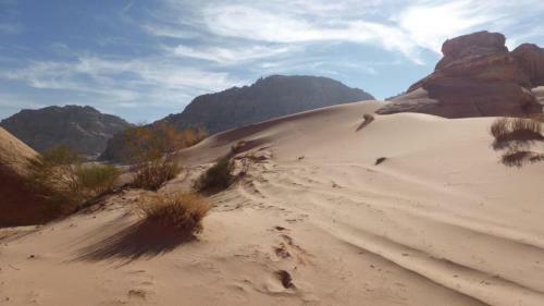 Wadirum Sand Camp