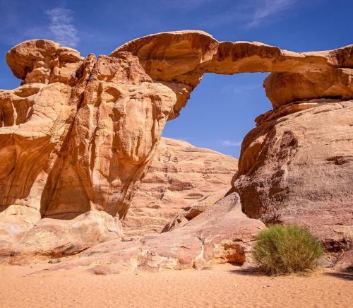 Bedouin Host Camp& With Tour