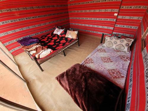 Bedouin Host Camp& With Tour