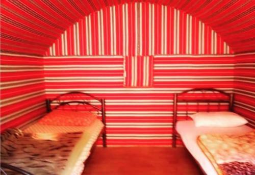 Bedouin Host Camp& With Tour