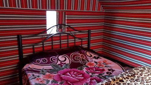 Bedouin Host Camp& With Tour
