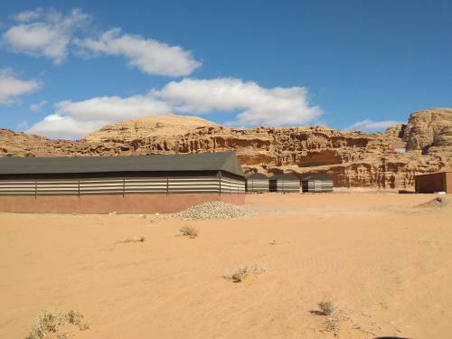 Bedouin Host Camp& With Tour