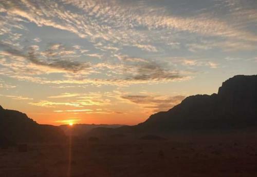 Bedouin Host Camp& With Tour