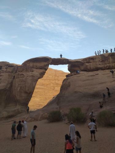 Bedouin Host Camp& With Tour