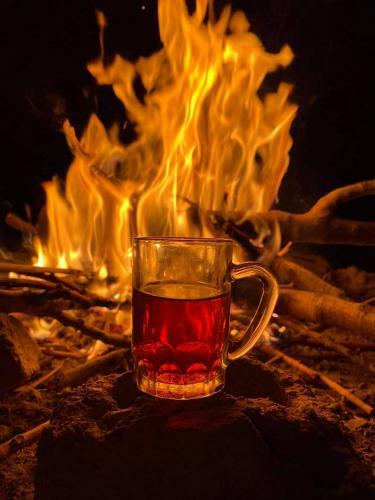 Bedouin Host Camp& With Tour