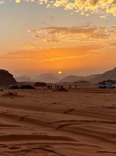 Bedouin Host Camp& With Tour