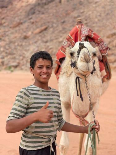 Bedouin Host Camp& With Tour