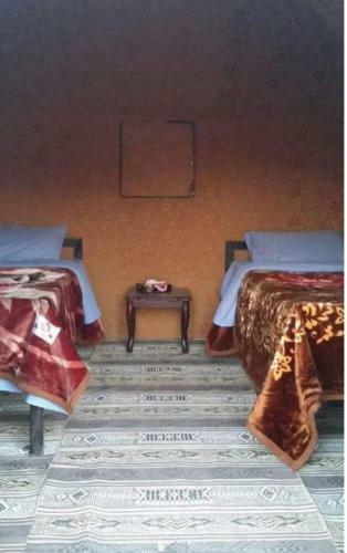 Bedouin Host Camp& With Tour